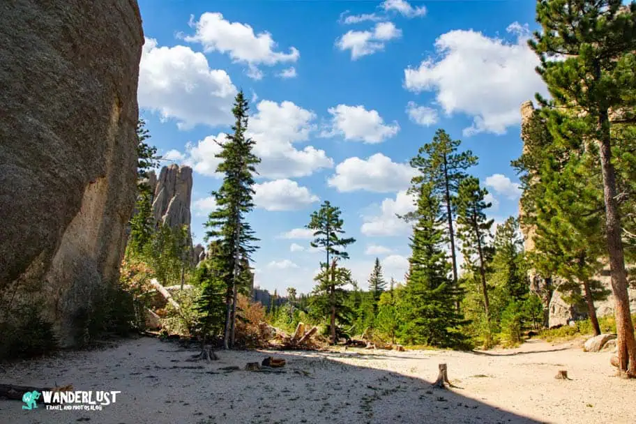 Custer State Park guide