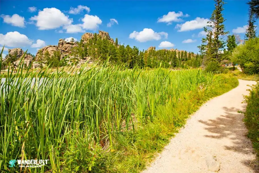 Custer State Park guide