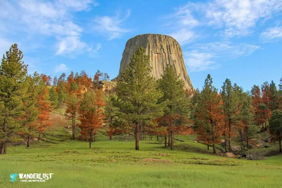 Devil’s Tower National Monument