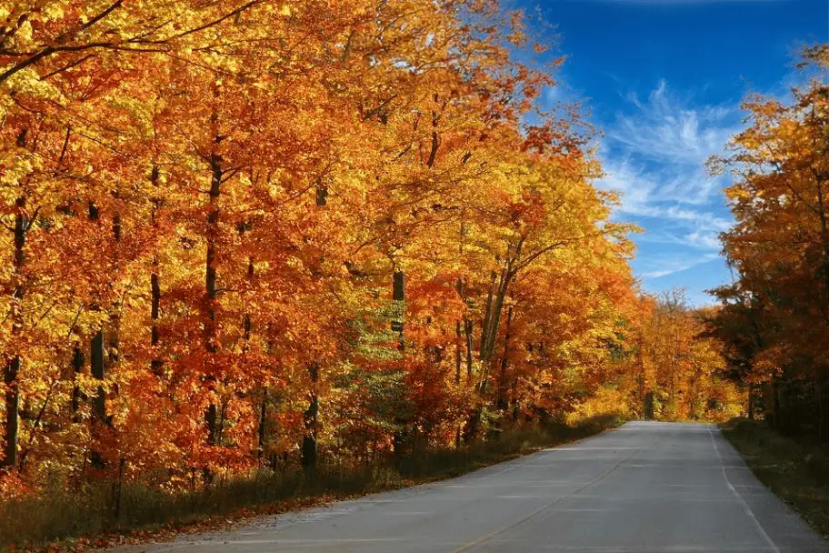 Michigan in Autumn