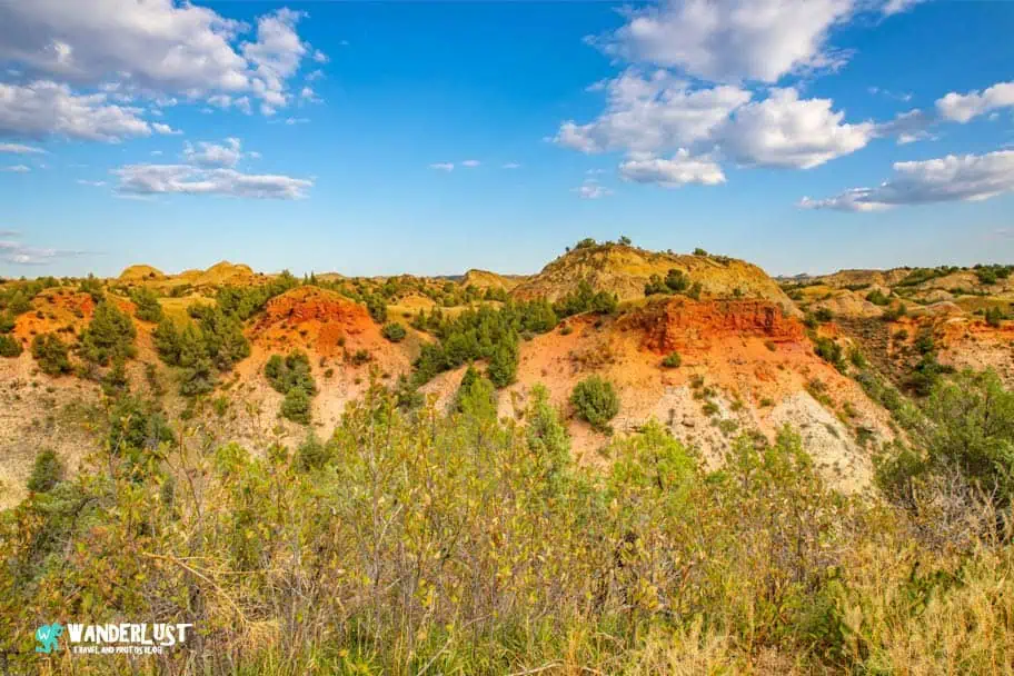 Theodore Roosevelt National Park