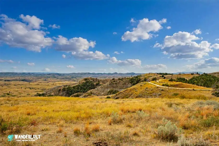 Theodore Roosevelt National Park