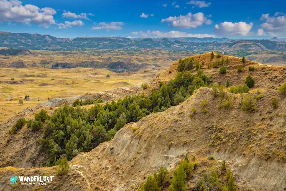 Theodore Roosevelt National Park