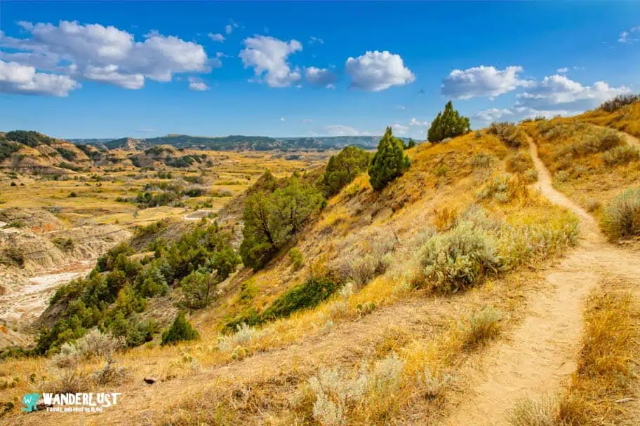 Theodore Roosevelt National Park