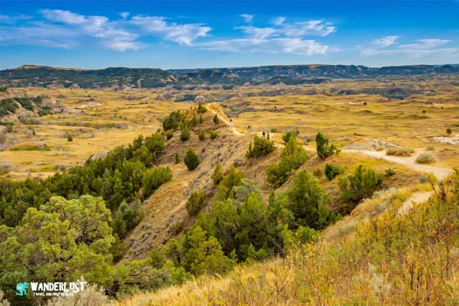 Theodore Roosevelt National Park